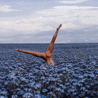 The Range Of Sexual Expression