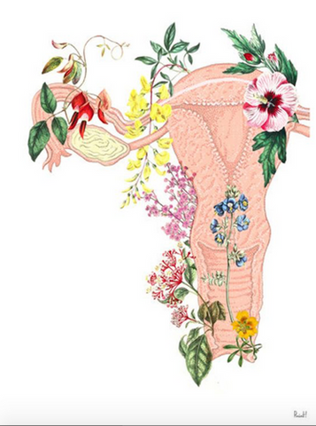 The Hymen: Breaking Down Myths